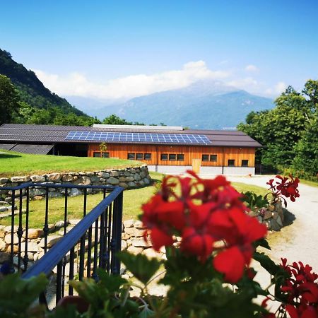 Vila Agriturismo La Ca' D'Amelio Lessolo Exteriér fotografie